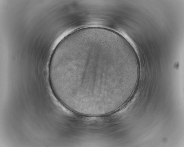 X0000090491341200708102210