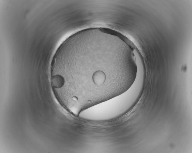 X0000090491342200708102210