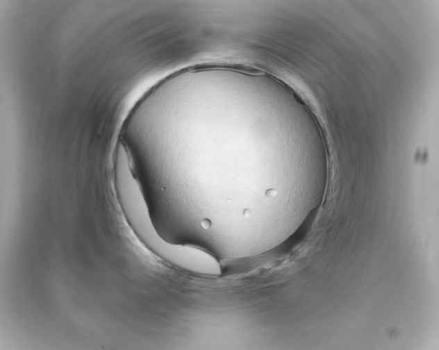 X0000090491344200708102210