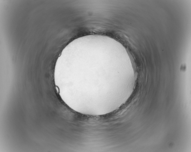 X0000090491345200708102210