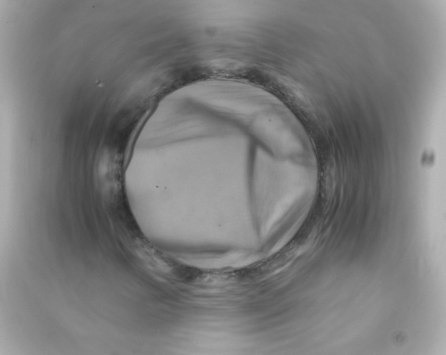 X0000090491346200708102210