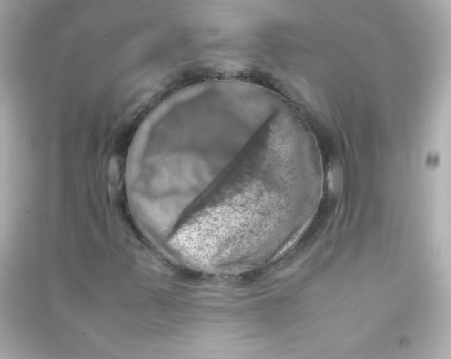 X0000090491347200708102210