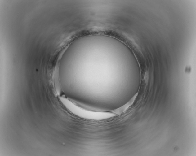 X0000090491348200708102210