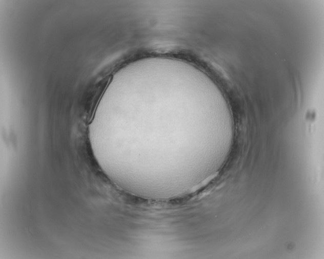 X0000090491349200708102210