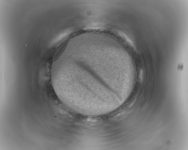 X0000090491350200708102210