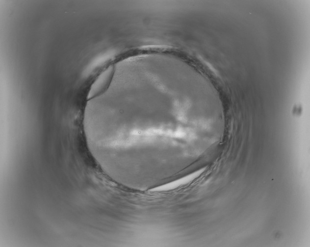 X0000090491351200708102210