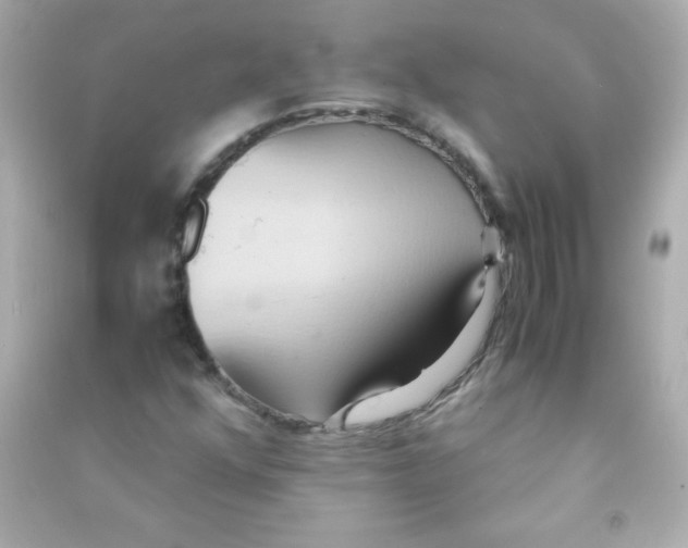 X0000090491352200708102210