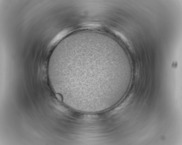 X0000090491354200708102210