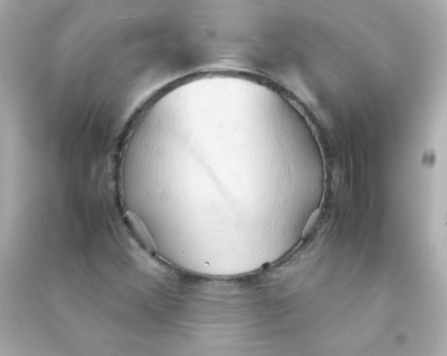 X0000090491356200708102210