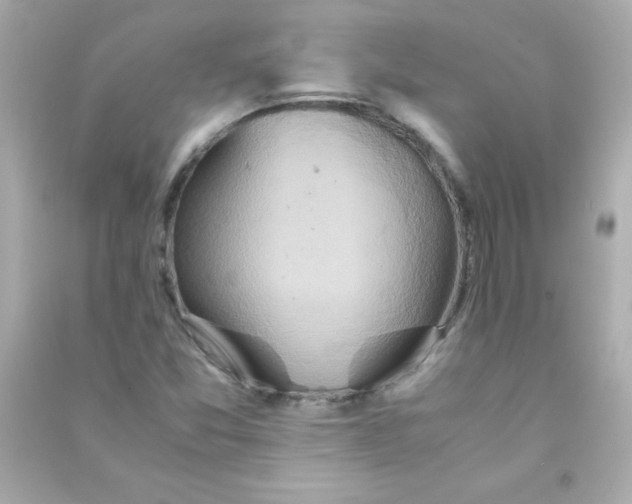 X0000090491357200708102210