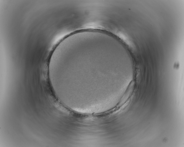 X0000090491358200708102210