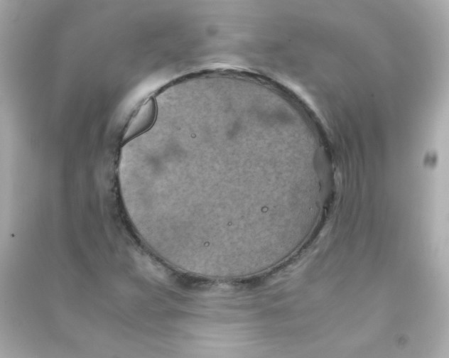 X0000090491359200708102210