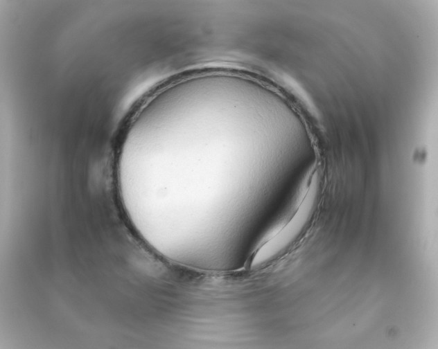 X0000090491360200708102210