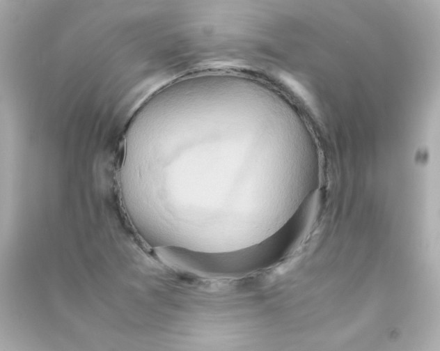 X0000090491361200708102210