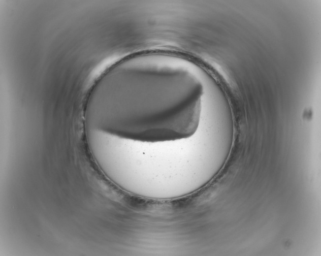 X0000090491363200708102209