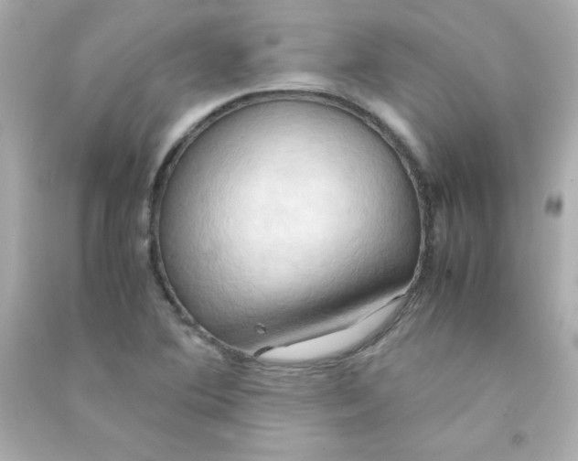 X0000090491364200708102209