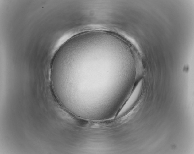 X0000090491365200708102209