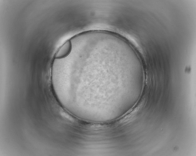 X0000090491366200708102209