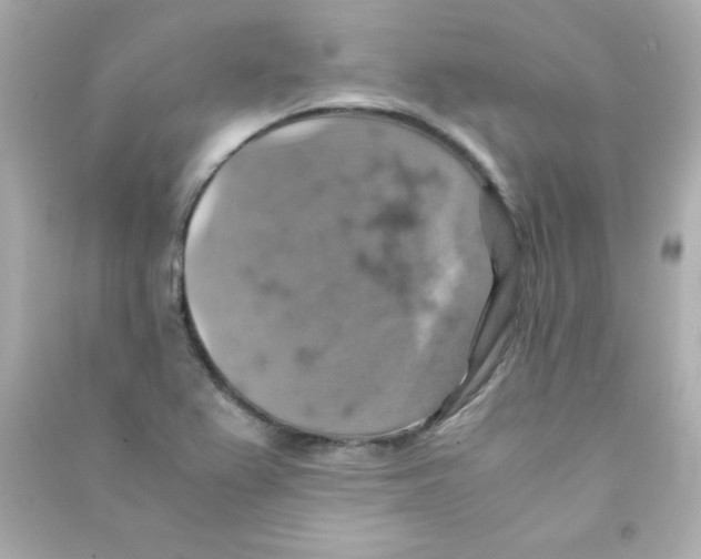 X0000090491367200708102209