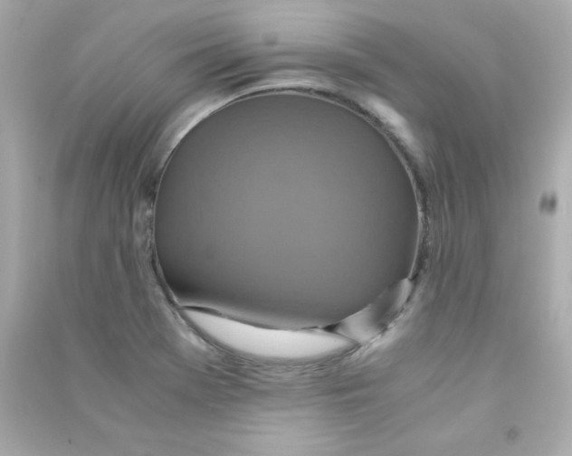 X0000090491369200708102209