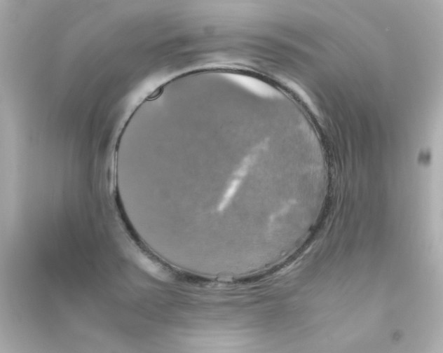 X0000090491371200708102209