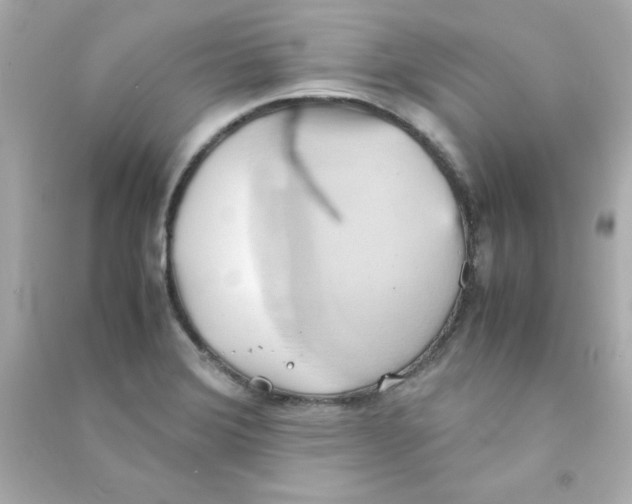 X0000090491372200708102209