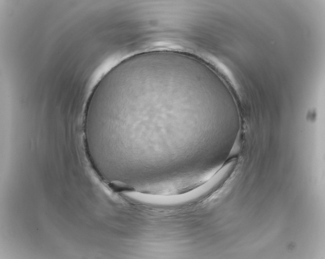 X0000090491373200708102209