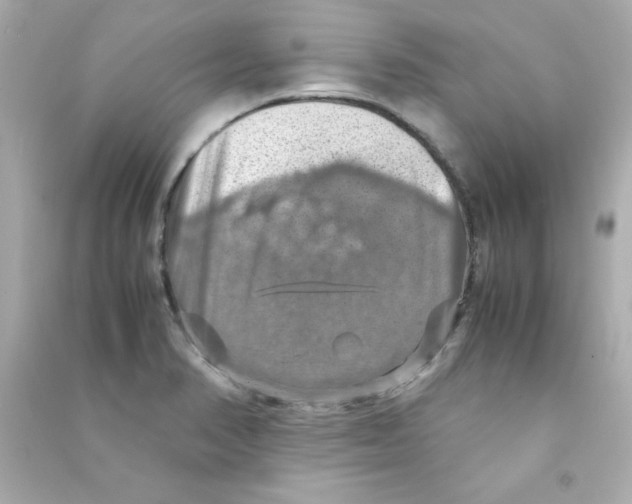 X0000090491374200708102209