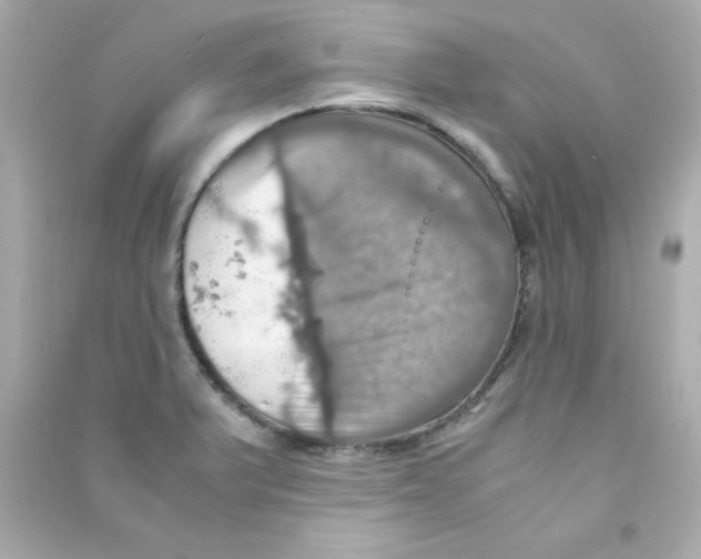 X0000090491375200708102209