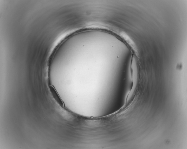 X0000090491376200708102209