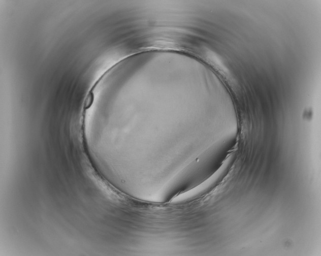 X0000090491378200708102209