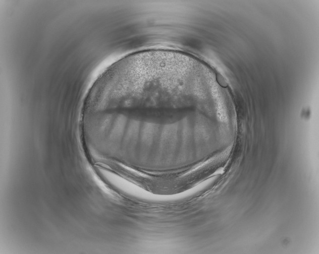 X0000090491379200708102209