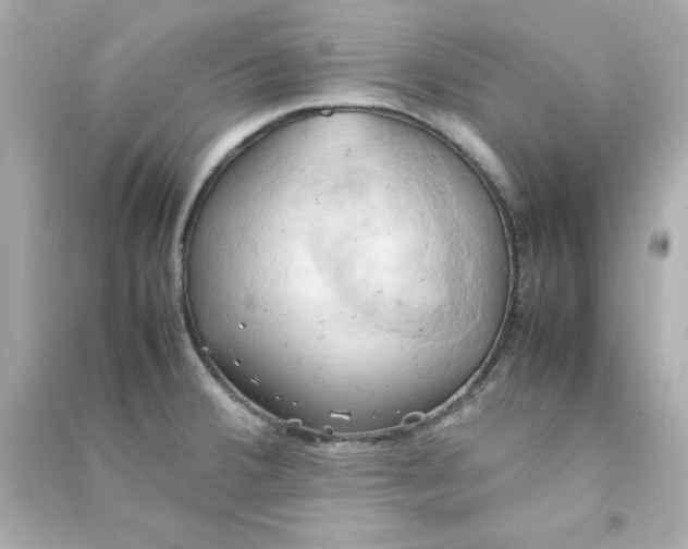 X0000090491380200708102209