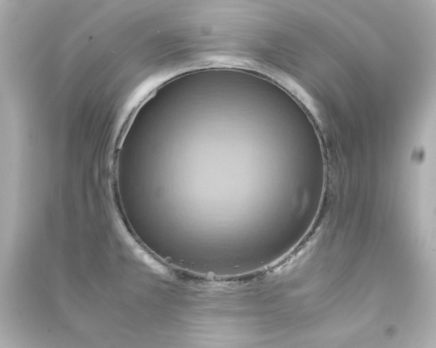 X0000090491381200708102209