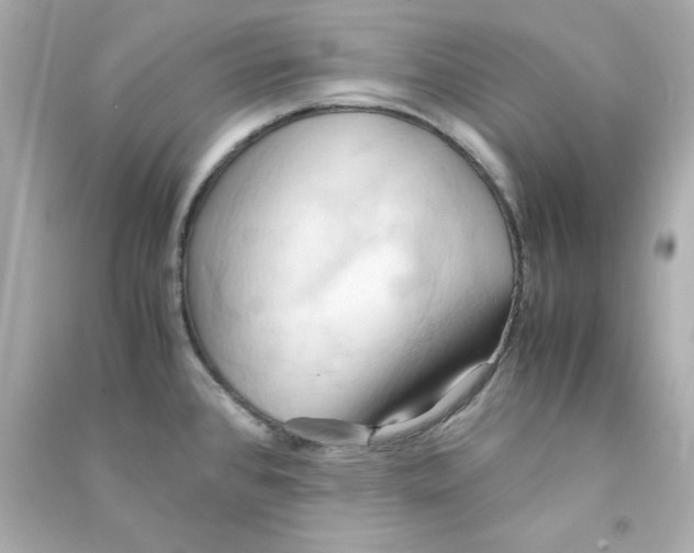 X0000090491384200708102209