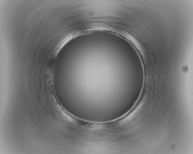 X0000090491385200708102209