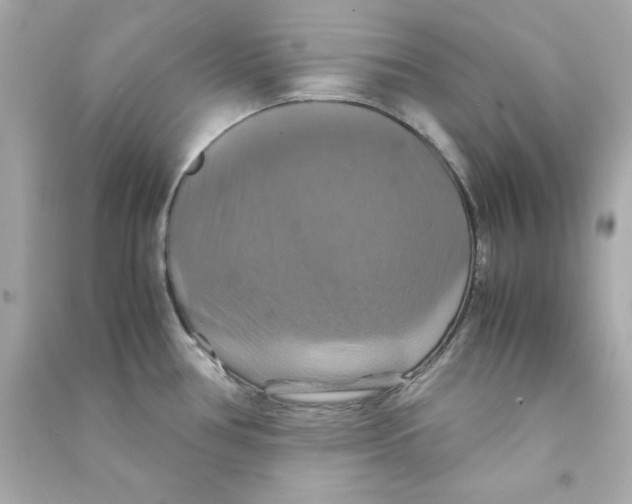 X0000090491386200708102209