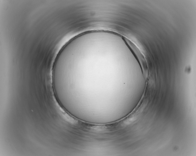 X0000090491388200708102209