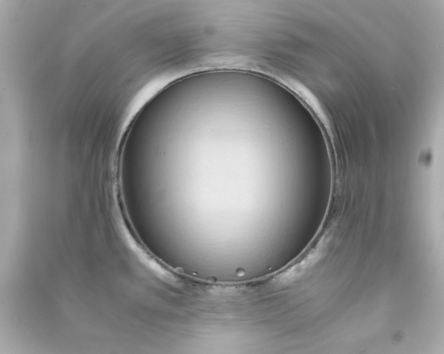 X0000090491389200708102209