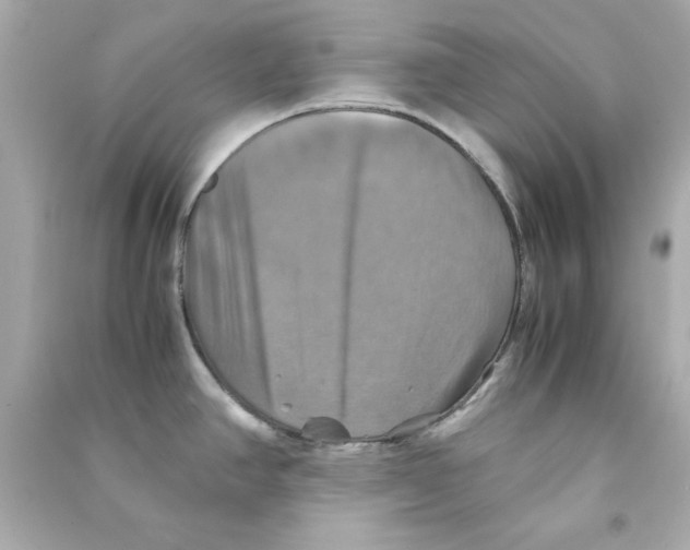 X0000090491390200708102209