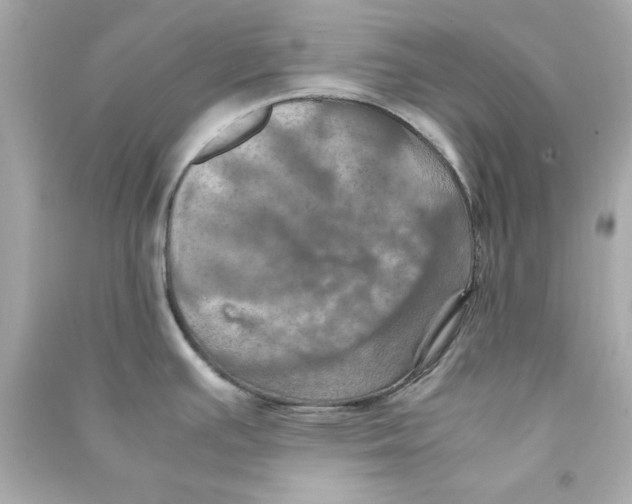 X0000090491391200708102209