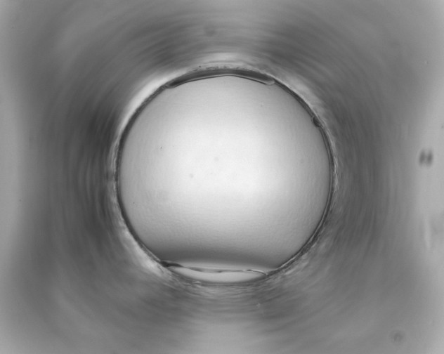 X0000090491392200708102209