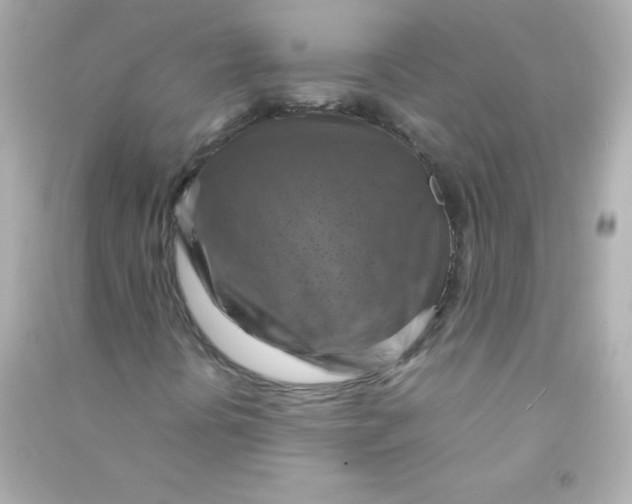 X0000090491394200708102208