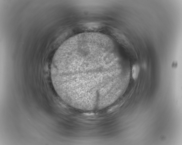 X0000090491395200708102208