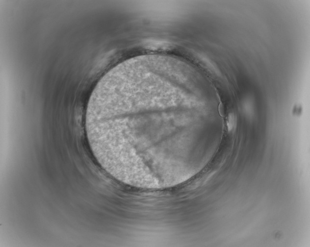 X0000090491396200708102208