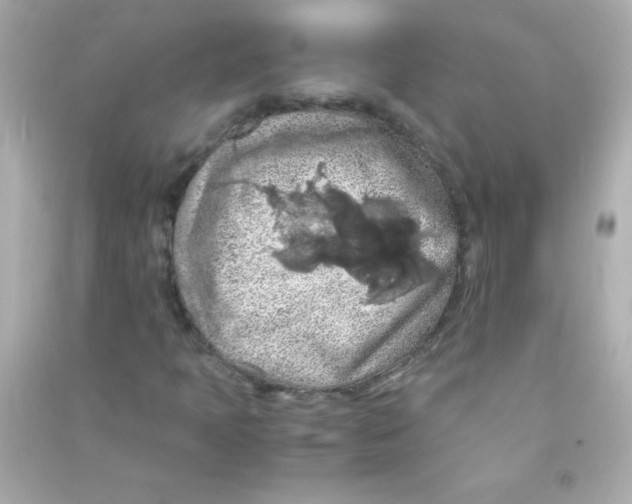 X0000090491397200708102208