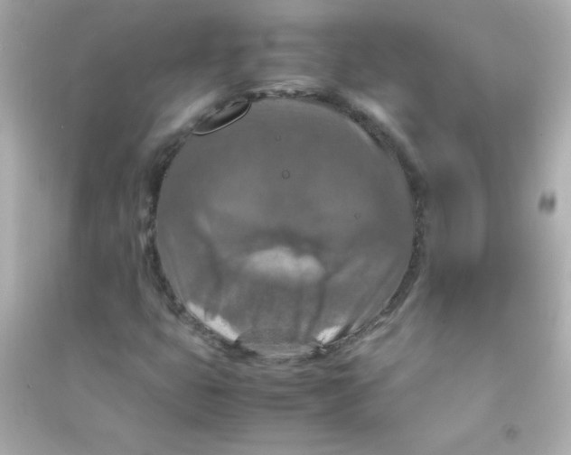 X0000090491399200708102208