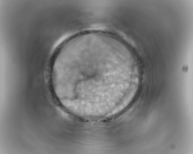 X0000090491400200708102209