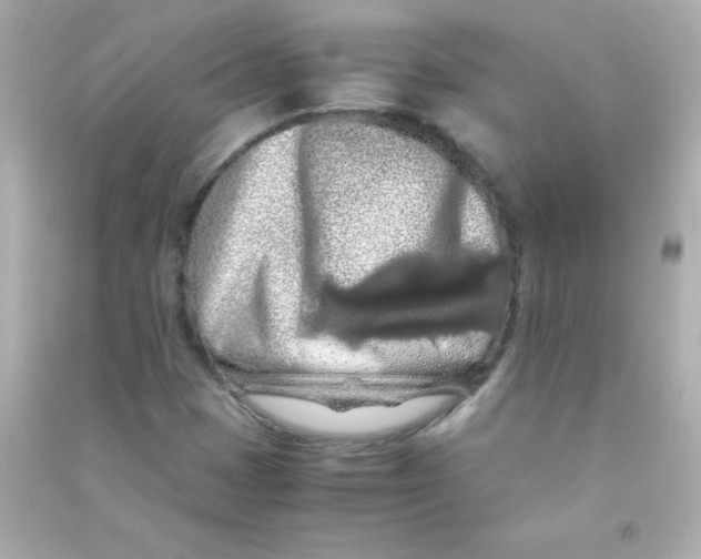 X0000090491401200708102209