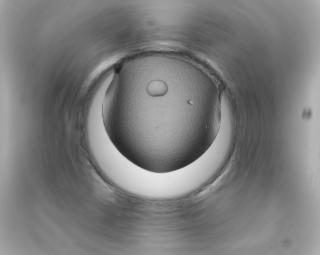 X0000090491402200708102209